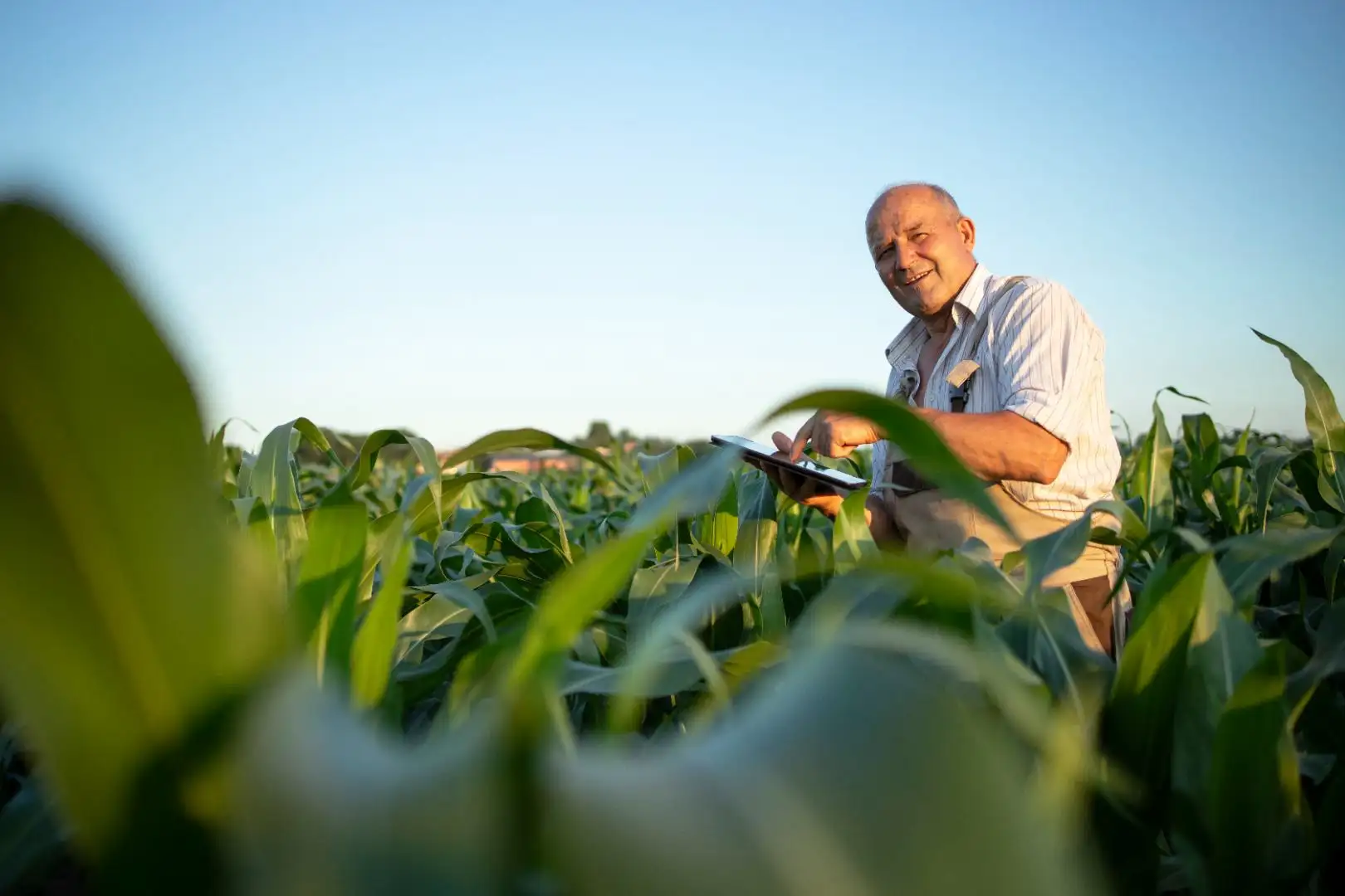 Agricultura y Agroindustria